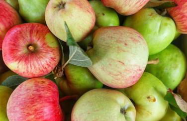 A Casa do Soito - Foto 49