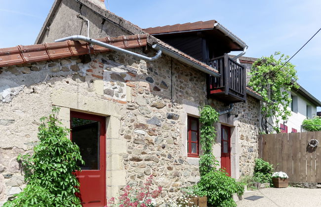 Marguerite - Photo 20