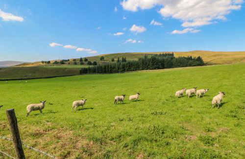 Field Barn - Foto 43