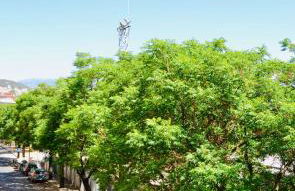 FAISÁN 20 Apartamento - Photo 45