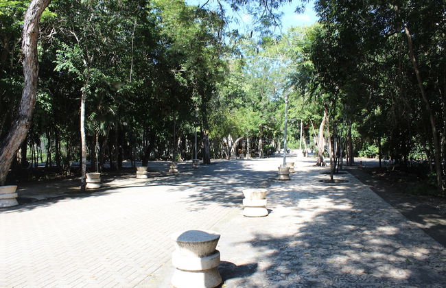 Calea Tulum - Photo 78