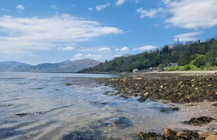 Highland Hideaway - Photo 61