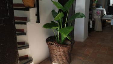 Casa Museo Quintín - Foto 5