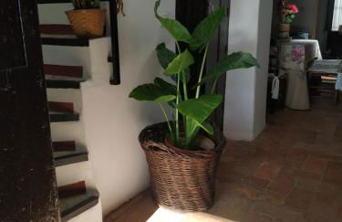 Casa Museo Quintín - Foto 5