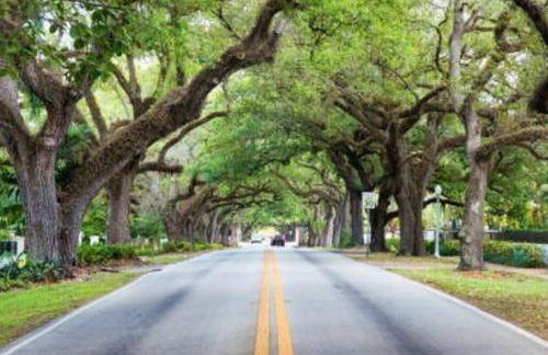 My lovely home in Miami 15 minutes from the Beach - Foto 66