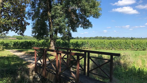 Taller enológico privado y visita del Château de Sainte Barbe - Foto 3