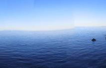 Il Tetto Verde - Foto 26