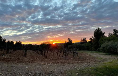 Masia Sagués - Foto 14