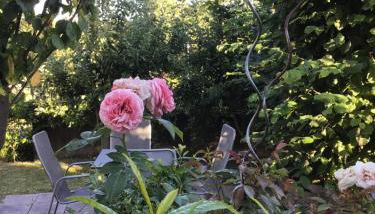 Pension Malwine - Foto 2, Garden view