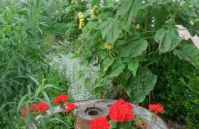 Gattererhof - Foto 38