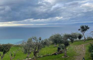 Bouganville in Villa Greco - Foto 46