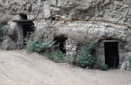 Bio Agriturismo Valle dei Calanchi - Foto 143