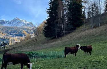 Superbe Appartement à Montchavin - Foto 19