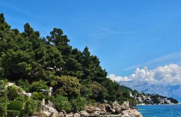 Villa Roing S - Foto 61