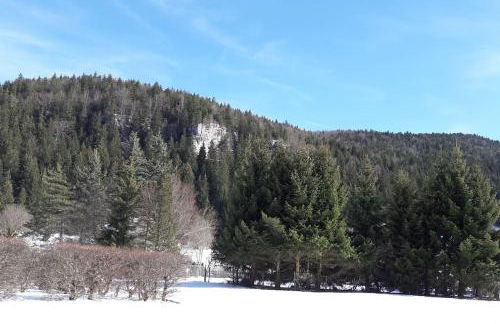 Duplex 59m2 - proche centre - balcon plein sud - Foto 21