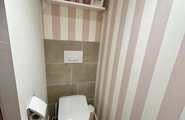 LOVE Room - Balnéo - Ciel Etoilé - Free Wifi - Netflix - Hyper Centre - Foto 25