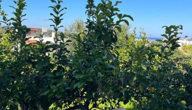 Pella in Istron - Foto 2