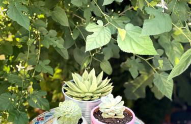 Gem by the water with firepit & all fenced backyard 2 Bedrooms - Photo 29