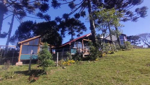 Na'raucária - Foto 2