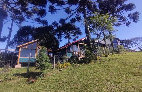 Na'raucária - Foto 2