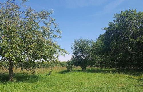 Apartamenty Holiday Slaw jacuzzi bilard - Foto 16