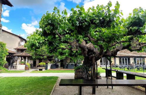 Agriturismo il Vagabondo - Foto 10