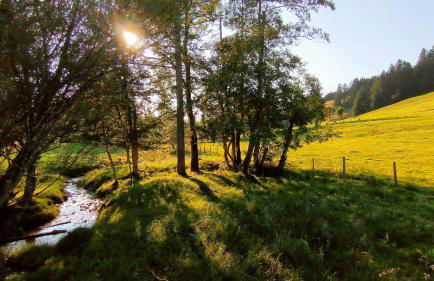 Ferienwohnung Allgäuerle 1604 Ski in Ski out an der Skipiste mit Hallenbad Sauna - Photo 40