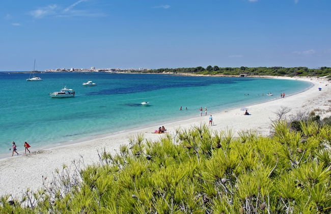 Aparthotel Isla de Cabrera - Photo 50