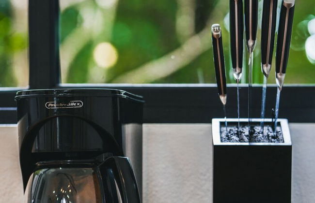 Floresta Monteverde - Foto 20