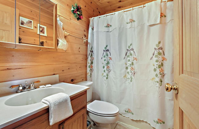 Alpine Ski Lodge - Foto 18