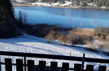 Les balcons du lac - Foto 3