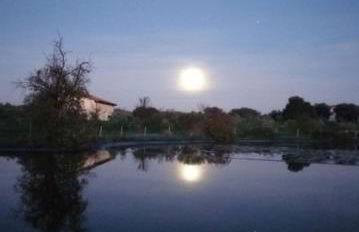 Gaia - Mare, Lago di Bolsena e Terme di Vulci - Foto 37