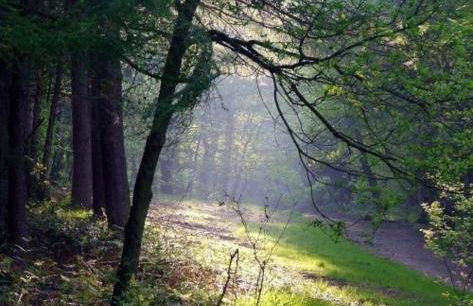 The Old Dairy - Foto 28