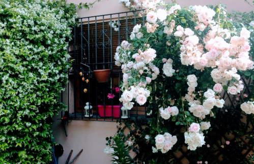 Appartamento La terrazza di Dora - Foto 4