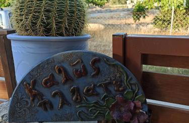 Cactus Home - Foto 1