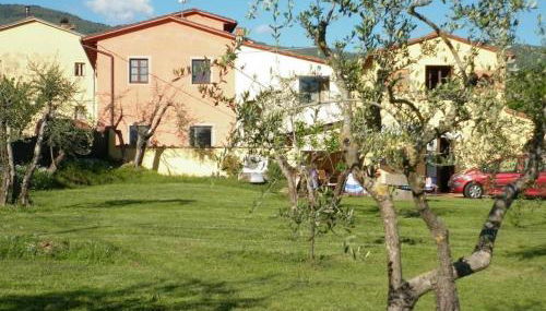 azienda agricola lo zolfino - Foto 4