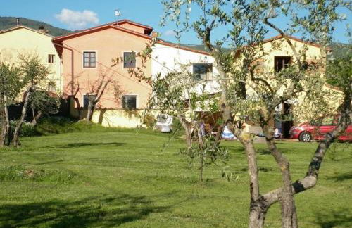 azienda agricola lo zolfino - Photo 8