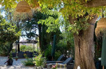 Maison du Midi, 2 Gîtes de charme - Foto 49