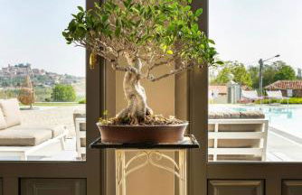 Dimora San Carlo - Foto 30