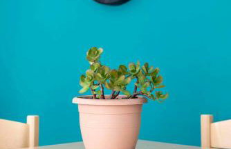 Amelie Sea View Apartments - Foto 35