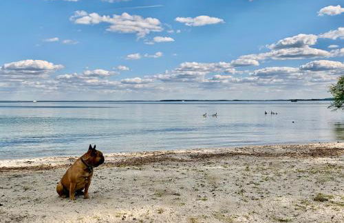 Apartment "Wiesenglück" - am Feisnecksee, mit Terrasse - Foto 27