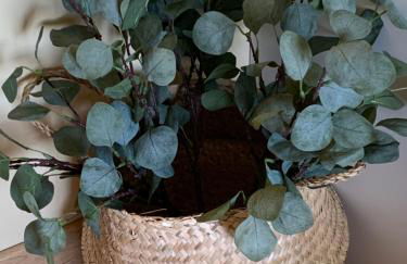 Precioso piso recién reformado en Zaragoza - Foto 27