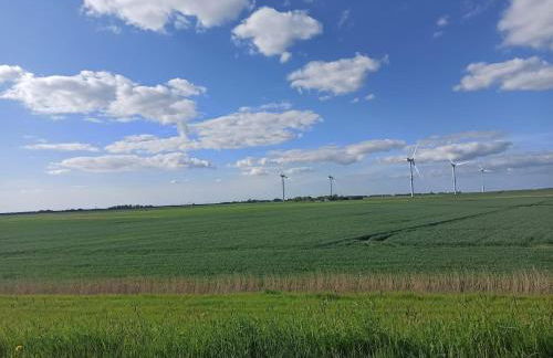 Landblick - idyllische Wohnung an der Nordsee - Foto 17