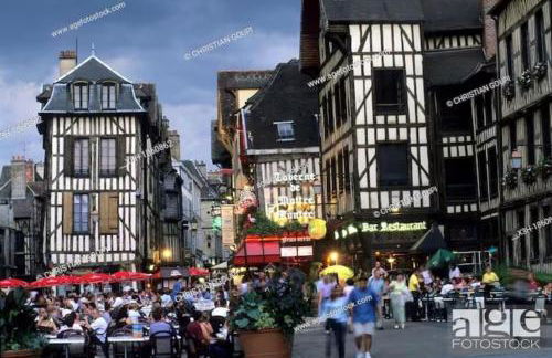 Maison La Ruelle des Chats Centre Historique de Troyes - Photo 48