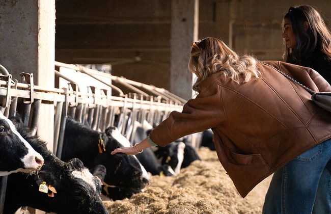 Excursión privada de un día y almuerzo: Degustación de queso parmesano, vino y vinagre - Foto 7