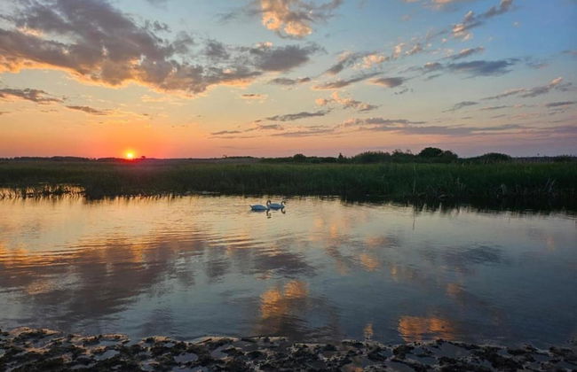 Countryside Escape With Sauna - Foto 29