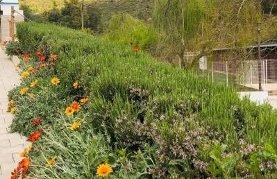 Casa Serra São Mamede - Foto 11