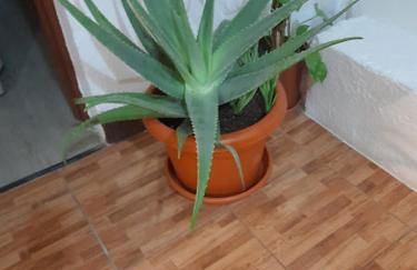 Vivienda Vacacional Sabinosa - Foto 72