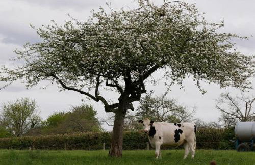 Gîte le 7 de Coeur, Baie Mont St Michel - Foto 11