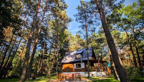 Szumiąca Sosna - Jacuzzi, Ognisko, Sauna, BBQ - Foto 3